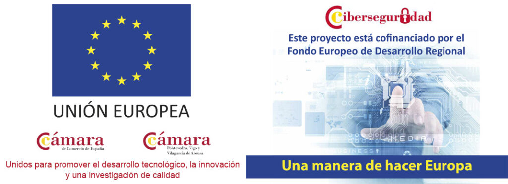 Ciberseguridade_Cámara